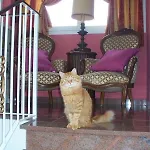 La Tana Del Tasso Bed & Breakfast 3*