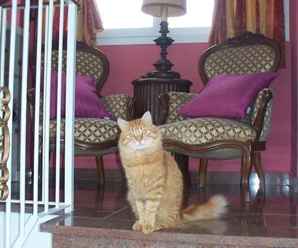 La Tana Del Tasso Bed & Breakfast 3*